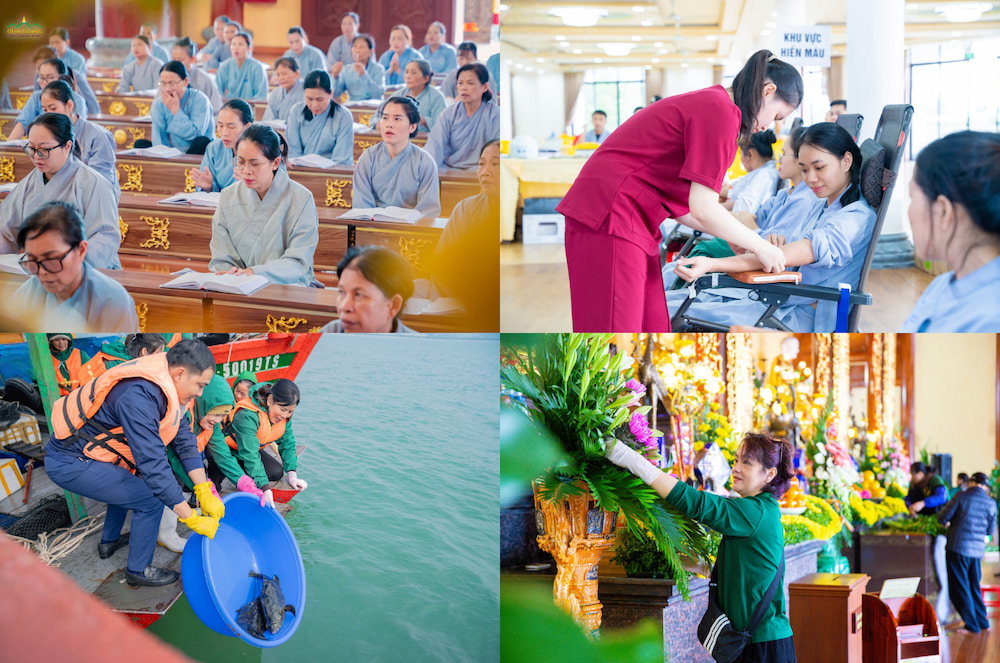 Thực hành lời Phật dạy sẽ giúp chuyển hóa nghiệp khổ