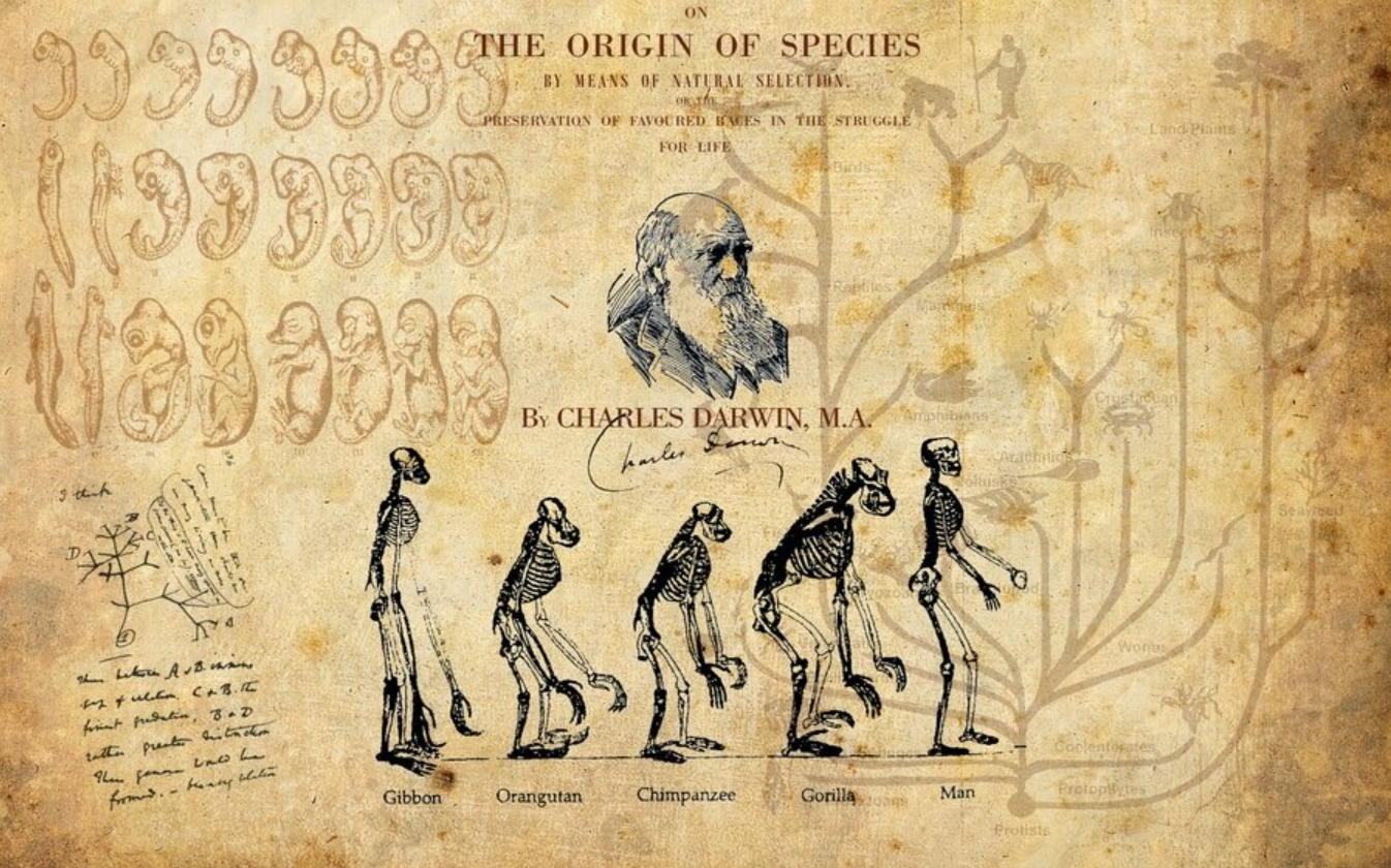 noi dung thuyet tien hoa cua darwin