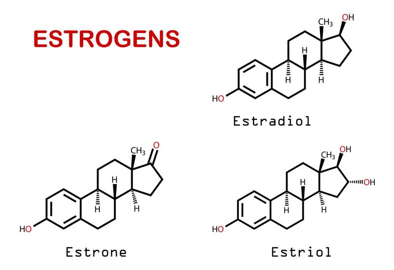 Estrogen là gì