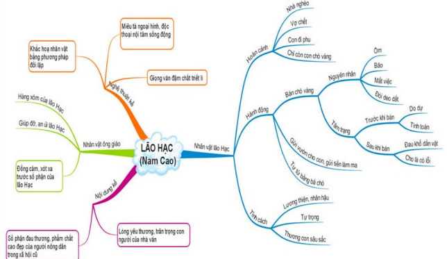 Sơ đồ tư duy truyện Lão Hạc