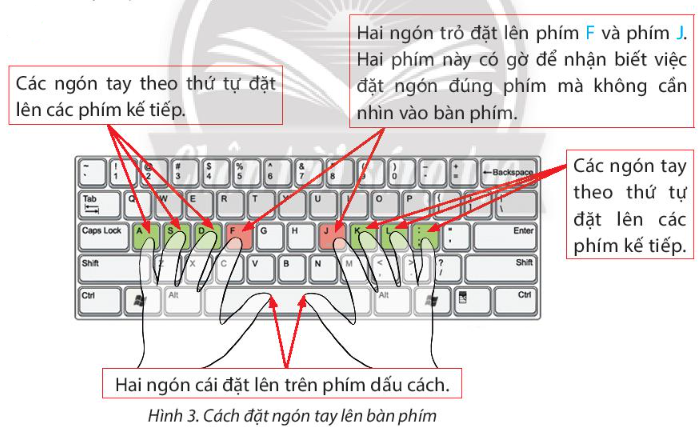Sách giáo khoa tin học 3 - chân trời sáng tạo - Bài 5. Tập gõ bàn phím