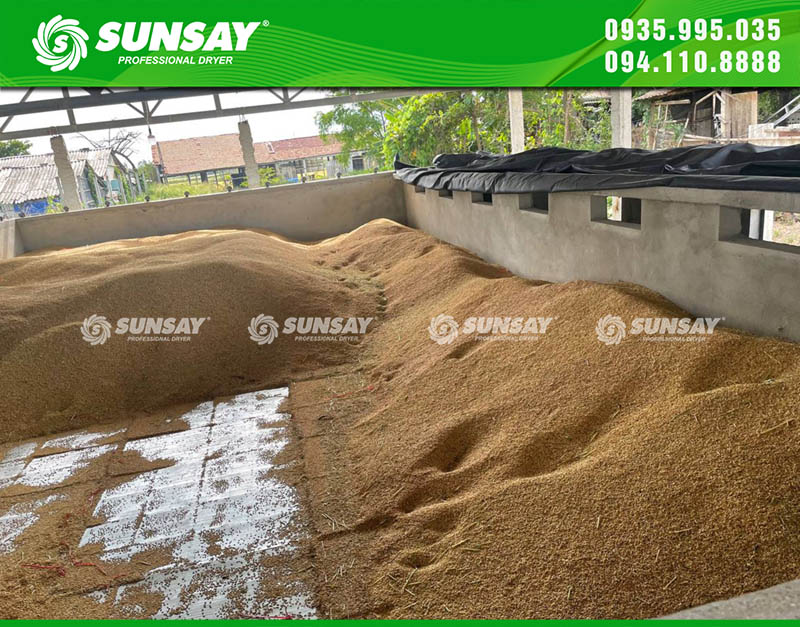 Lắp đặt máy sấy vĩ ngang 10 tấn tại Thanh Hóa