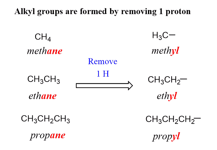 n-Butyl, sec-Butyl, iso-Butyl, and tert-Butyl