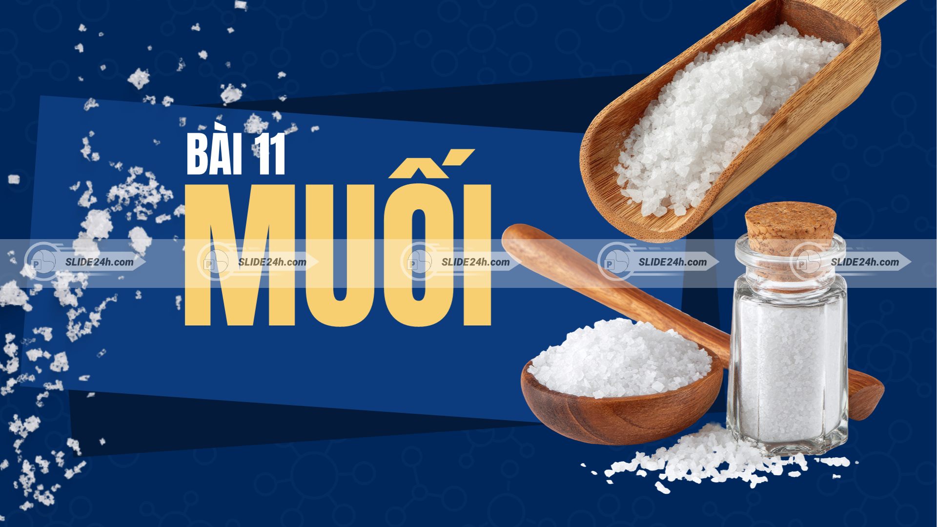 bài 11 muối hóa học lớp 9 định nghĩa và phân loại