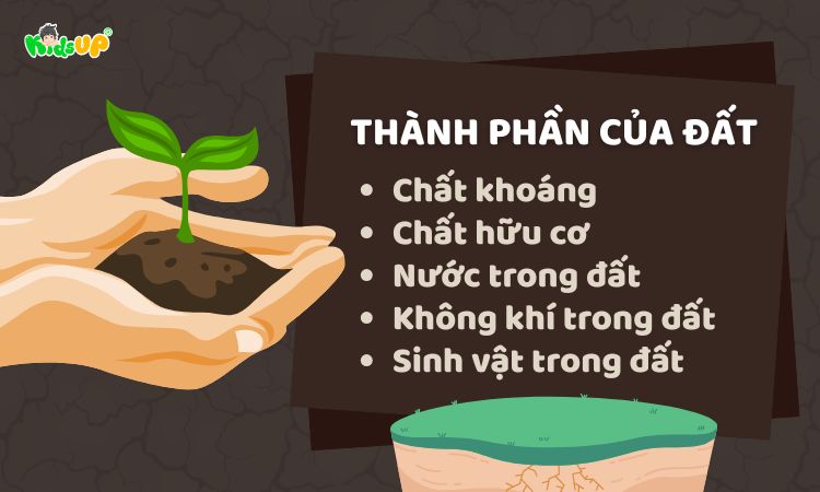 Đất gồm 5 thành phần chính