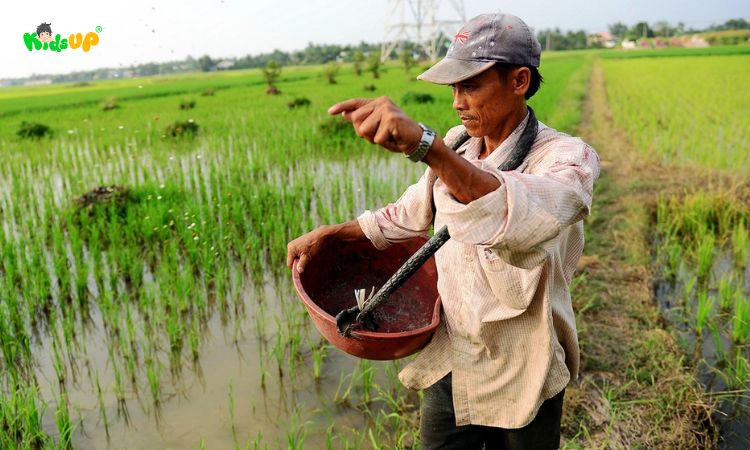 Sự tác động của con người có thể giúp đất tốt lên hoặc xấu đi