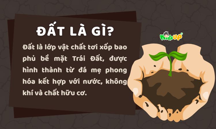 Định nghĩa về đất