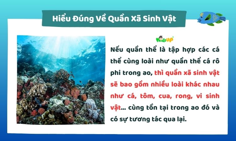 Hiểu đúng về quần xã sinh vật