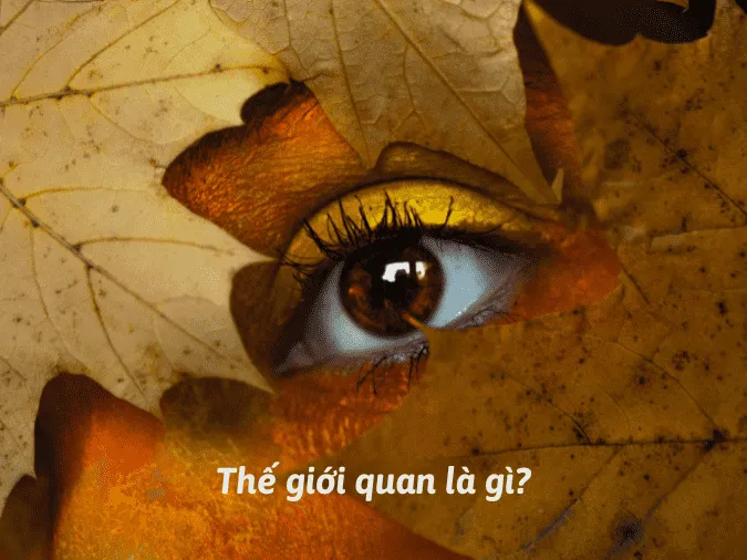 the-gioi-quan-la-gi-voh-1
