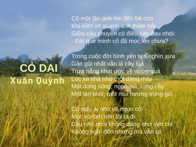 tho-xuan-quynh-voh-6