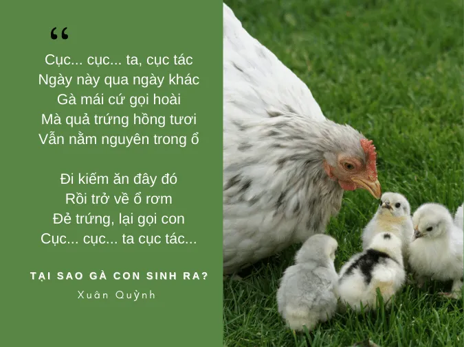 tho-xuan-quynh-voh-7