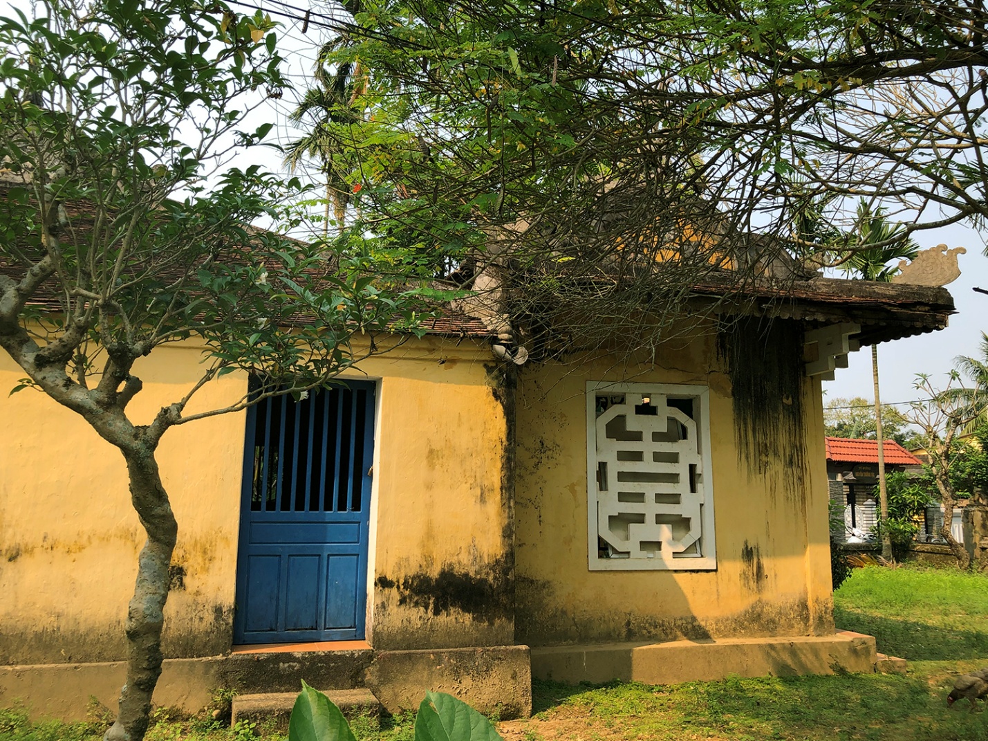 “Ở đây thôn Vỹ Dạ”, lạc bước giữa miền quê êm ả - 4