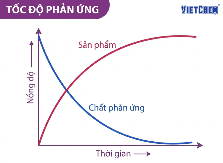 toc-do-phan-ung
