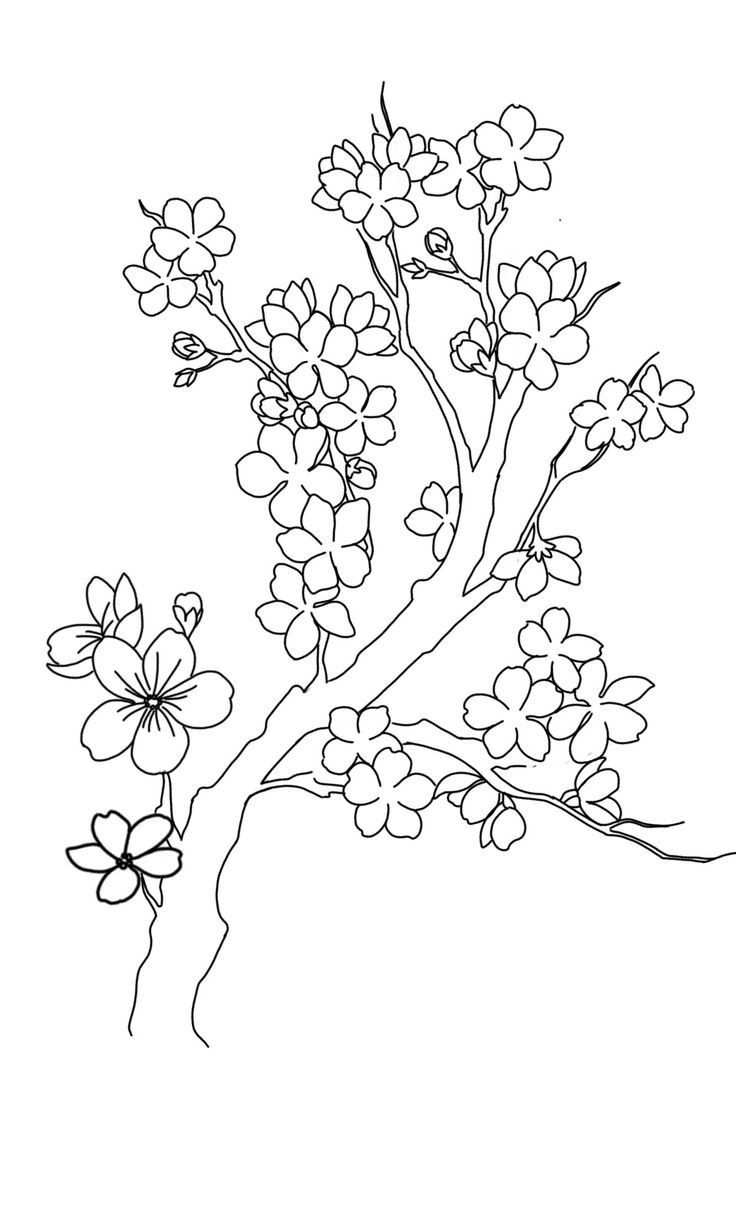 tô màu tranh nước