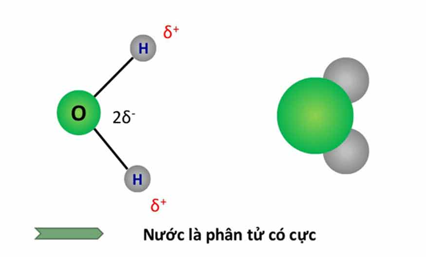 phân tử nước lưỡng cực