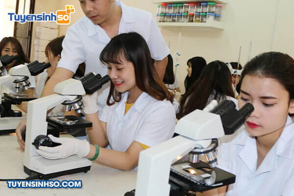 truong cao dang pham ngoc thach can tho tuyen sinh 8
