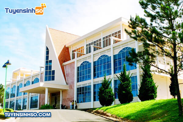 truong dai hoc da lat co nhung nganh nao 1
