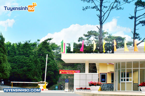 truong dai hoc da lat co nhung nganh nao