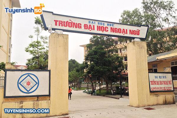 truong dai hoc ngoai ngu dai hoc hue