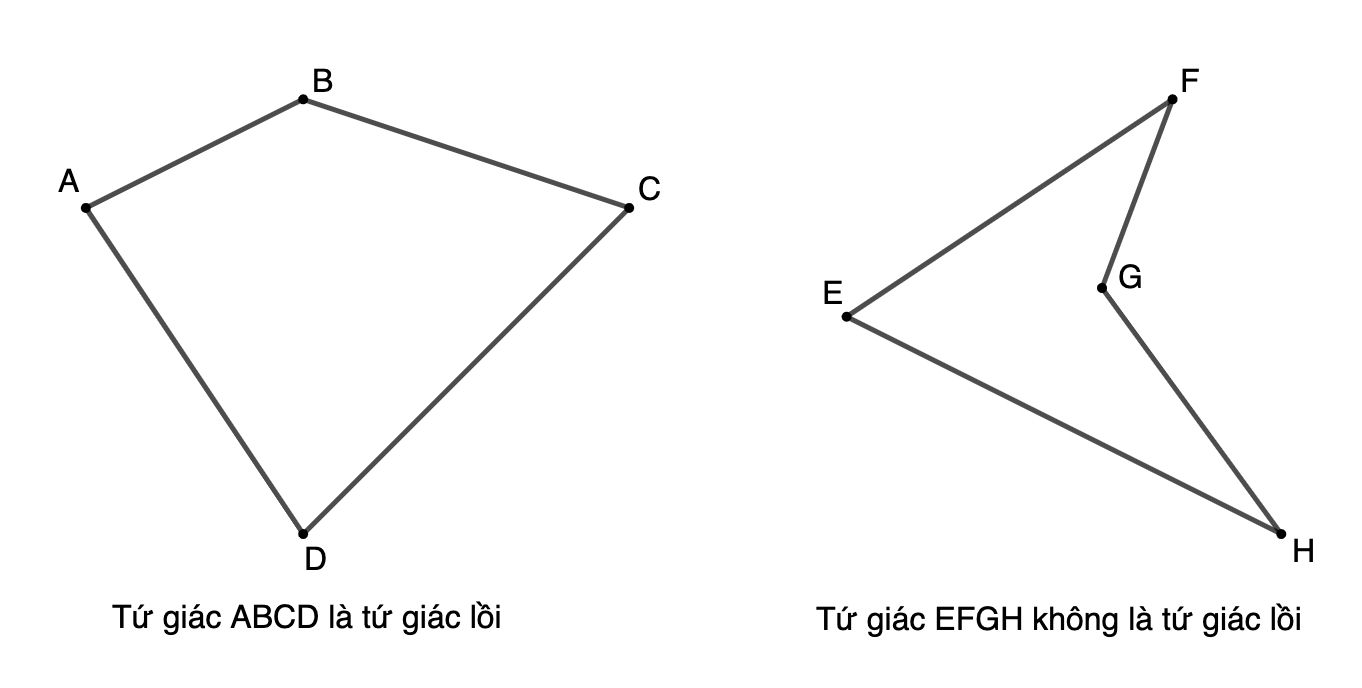 tu-giac-loi-la-gi-cac-dang-toan-thuong-gap-ve-tu-giac-1