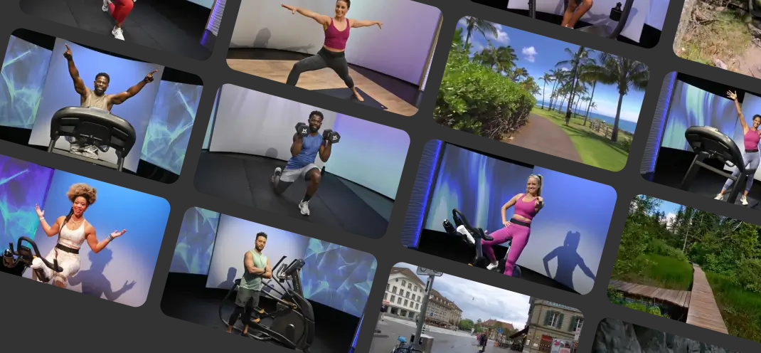 treo wellness