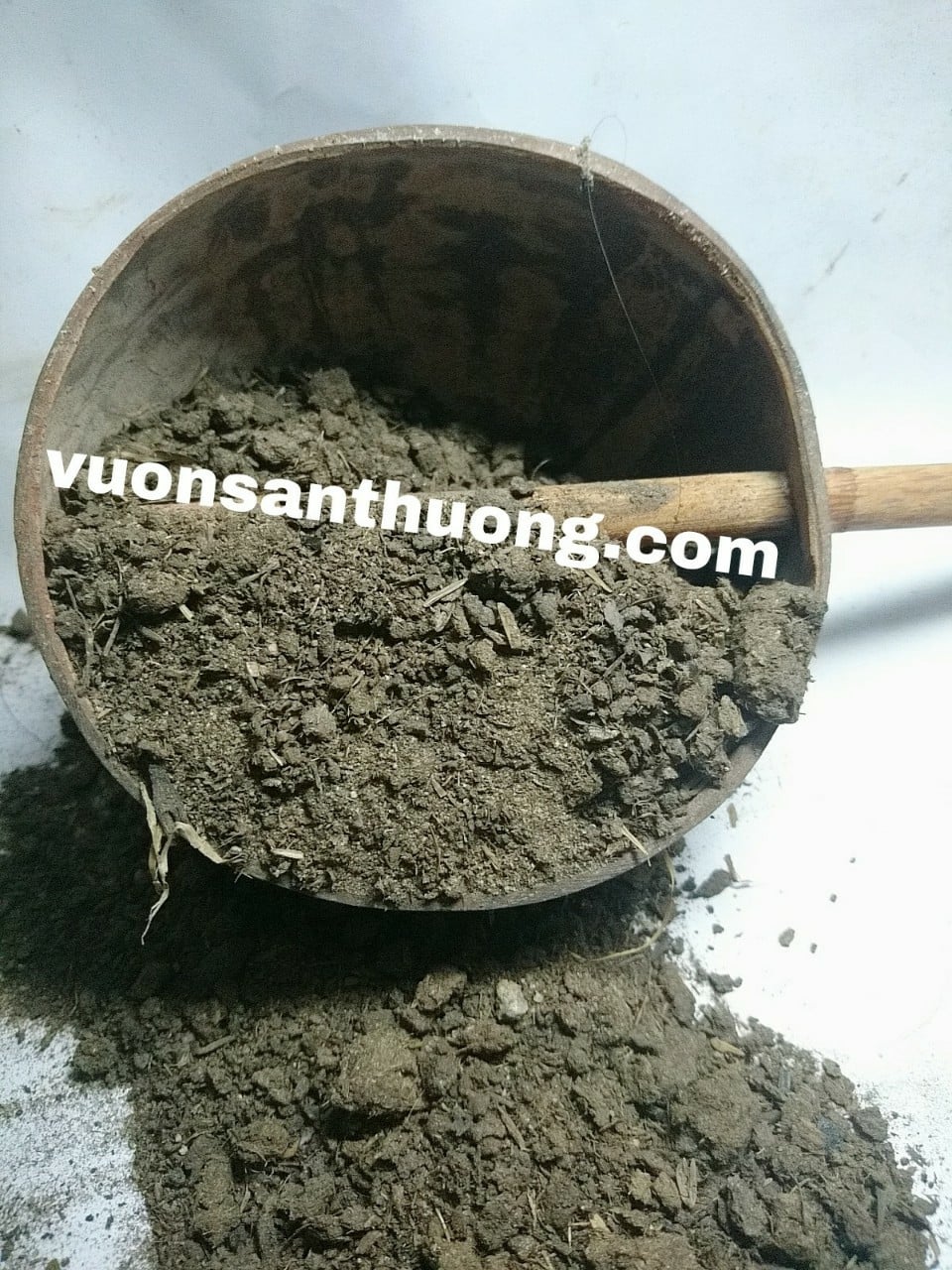 Vai trò của Kali đối với thực vật