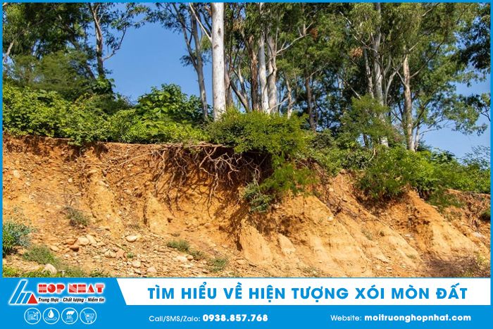 Nguyên nhân gây xói mòn đất và một số cách chống xói mòn