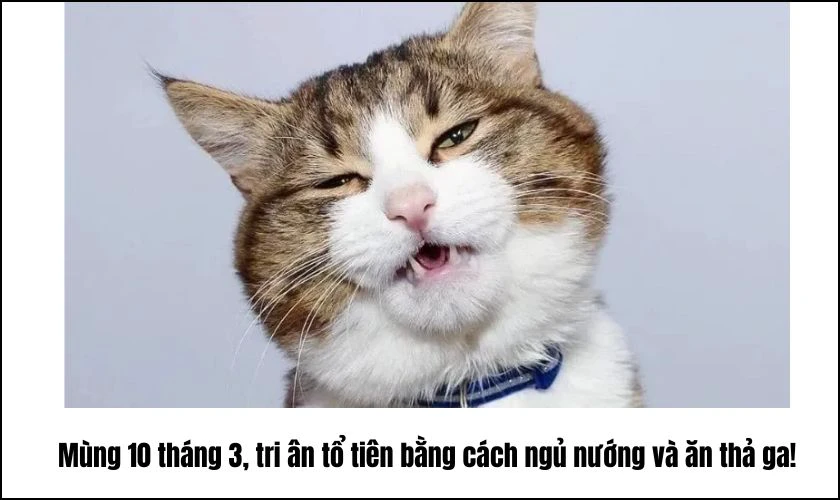 meme Giỗ Tổ Hùng Vương 2025 hài hước