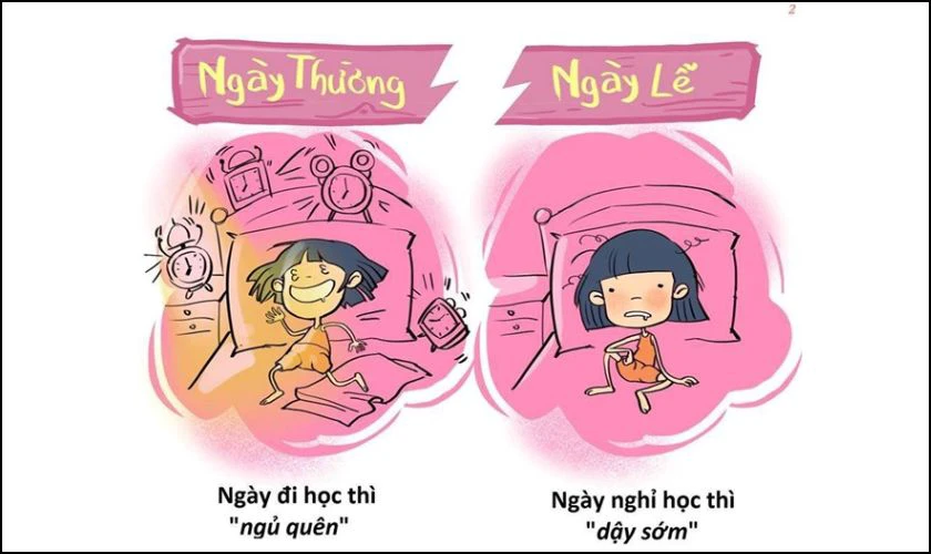 Meme vui nhộn