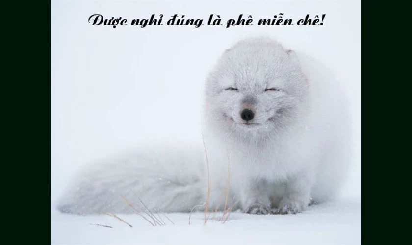 Meme Giỗ Tổ Hùng Vương vui