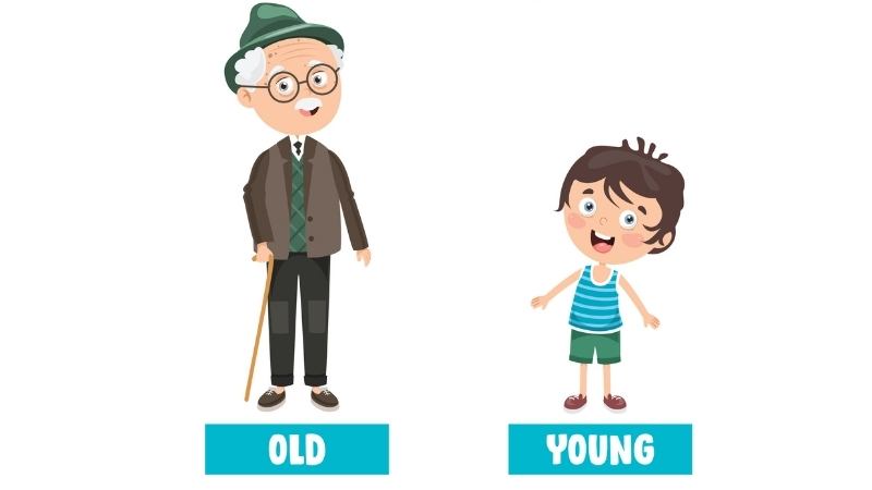 Lưu ý khi học từ vựng tiếng Anh lớp 2. (Ảnh: Shutterstock.com)