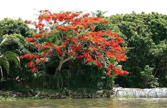 bao ve thien nhien la gi