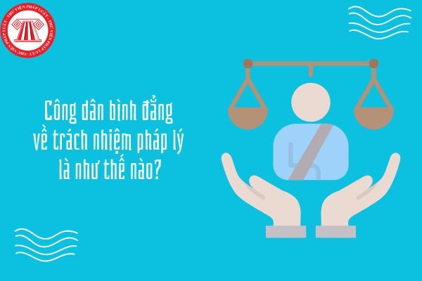 https://tailieuhoctap.edu.vn/wp-content/uploads/2026/07/binh-dang-ve-trach-nhiem-phap-ly-co-nghia-la.jpg