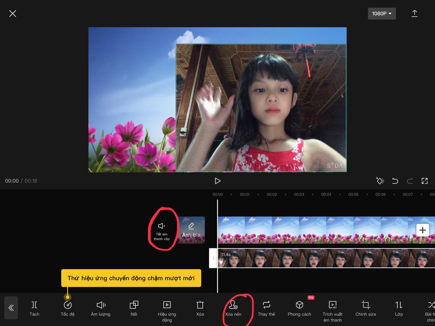 cap6