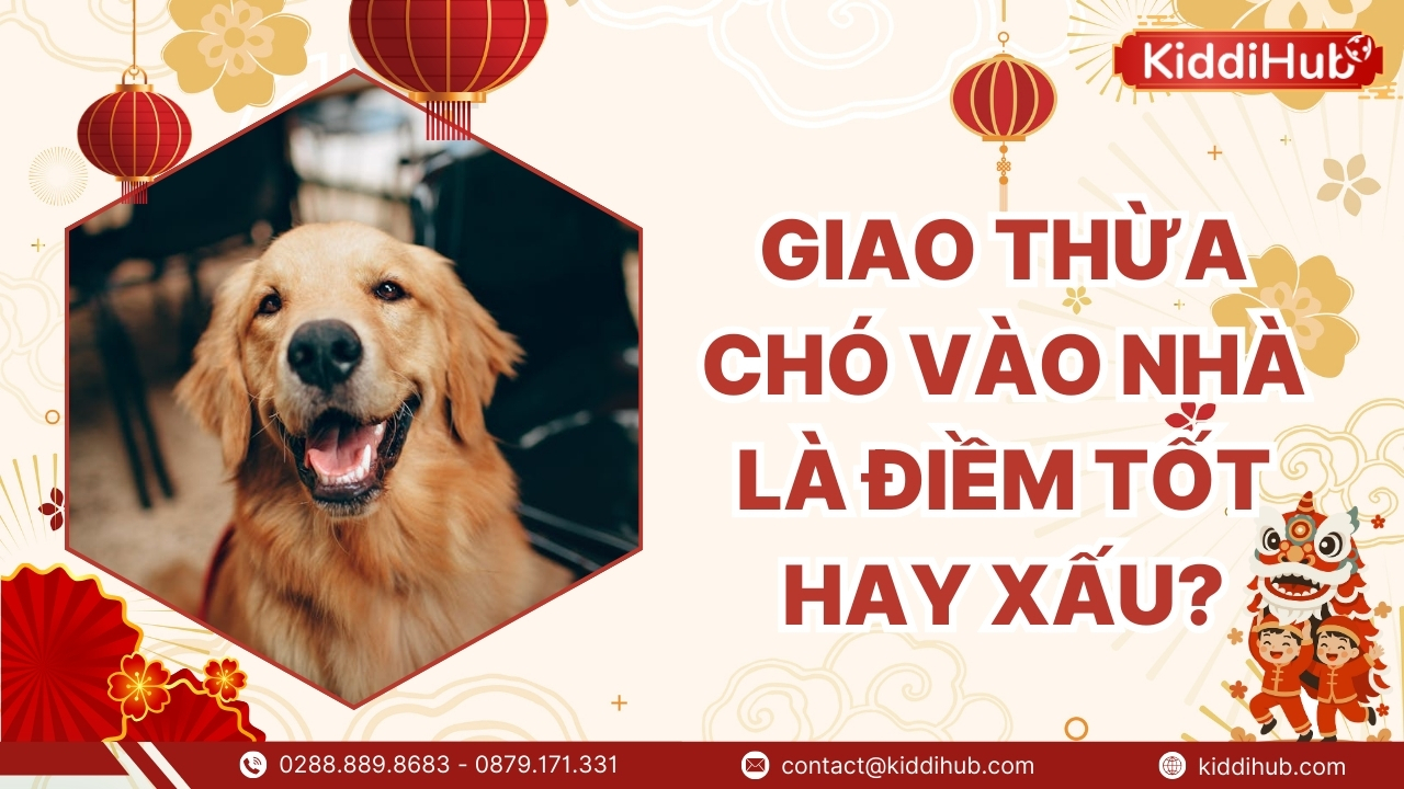 cho chay