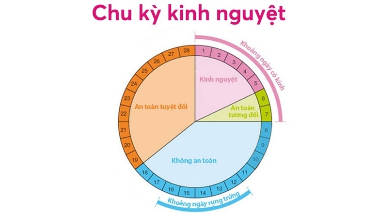 co kinh co di chua duoc khong