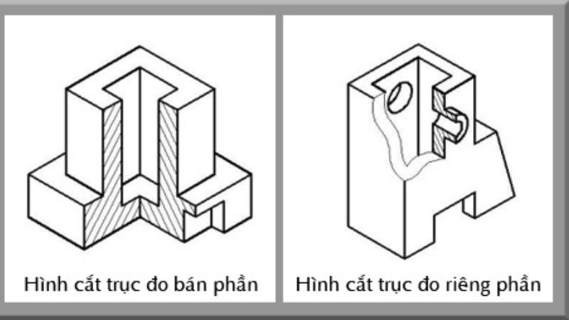 hình cắt là gì