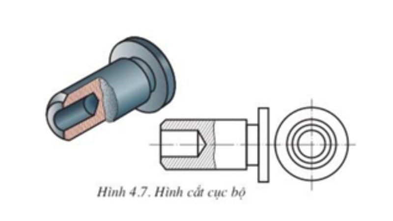 hình cắt là gì
