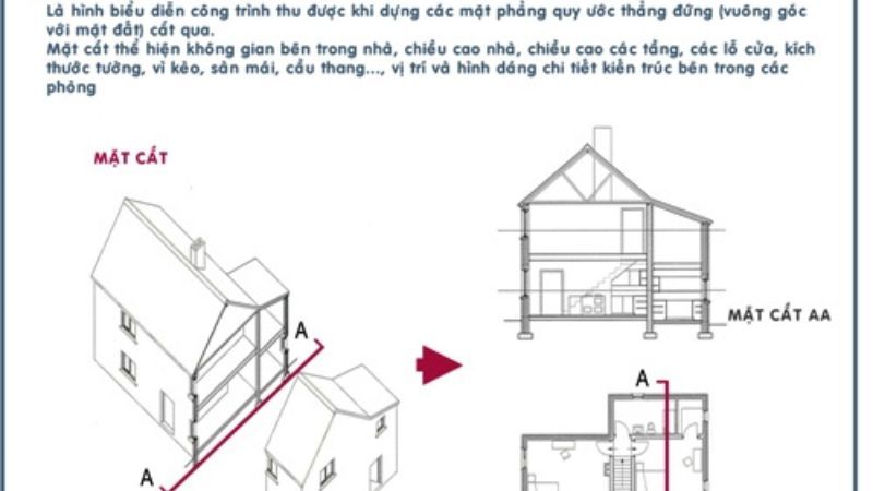hình cắt là gì