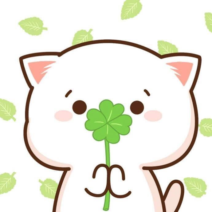 co may man chuc thi tot 7
