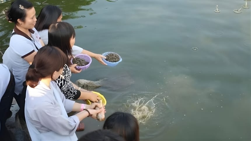 Tìm hiểu lễ phóng sinh