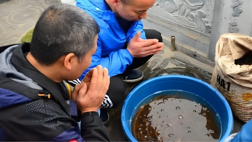 Mẫu văn khấn phóng sinh ốc chuẩn
