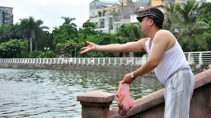 Những lưu ý khi làm lễ phóng sinh ốc