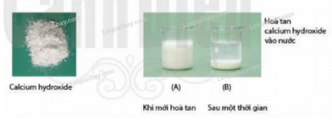Đề cương ôn tập học kì 1 Khoa học tự nhiên 6</>