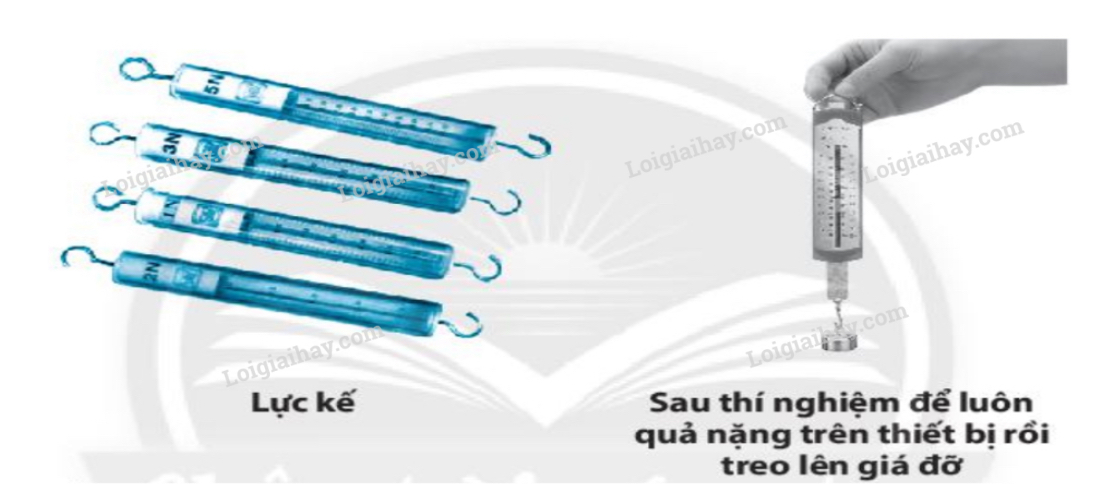 Đề cương ôn tập học kì 1 Khoa học tự nhiên 6</>