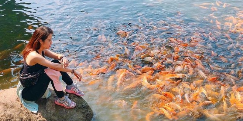 10 điểm du lịch núi đẹp tại Việt Nam