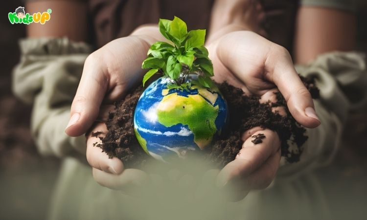 Sinh quyển giúp điều hòa khí hậu và môi trường