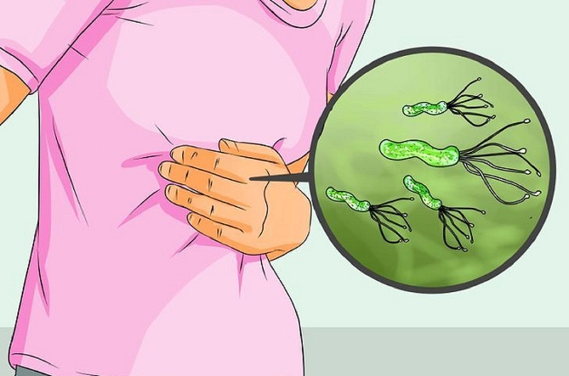 Tìm hiểu chung về vi khuẩn gram âm 2