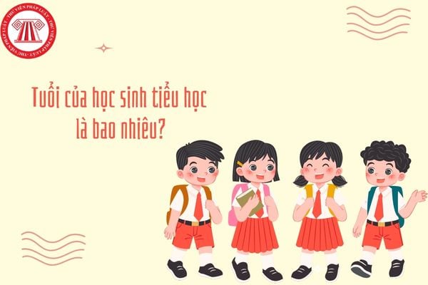 https://tailieuhoctap.edu.vn/wp-content/uploads/2026/07/hoc-lop-4-bao-nhieu-tuoi.jpg