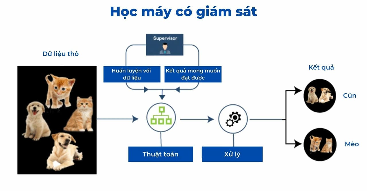 Ví dụ chi tiết về phương pháp học máy có giám sát
